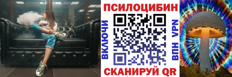 Псилоцибиновые грибы Psilocybe  Кудрово 