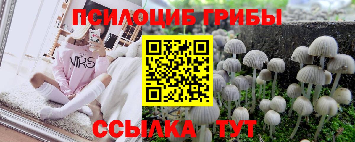 Псилоцибиновые грибы мухоморы  Вход с VPN  Псилоцибиновые грибы Psilocybe  Кудрово 