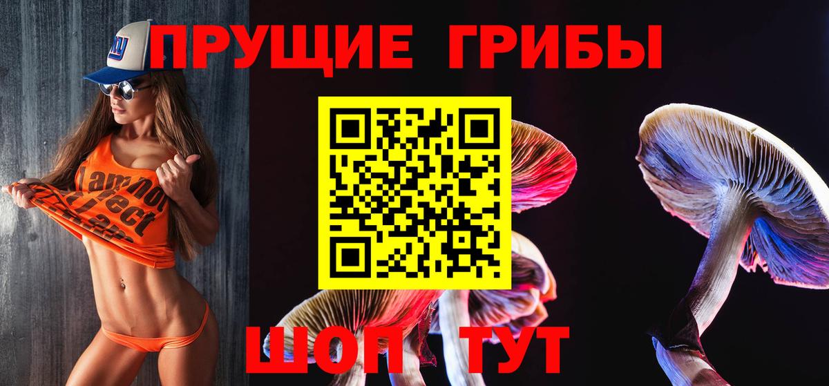 Галлюциногенные грибы MAGIC MUSHROOMS Кудрово